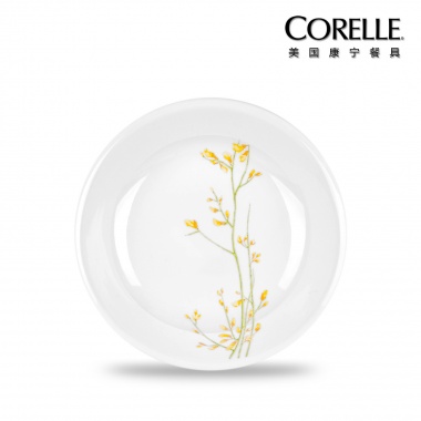 CORELLE 美国康宁餐具（兰桂飘香系列） CR-KE02（十件套）
